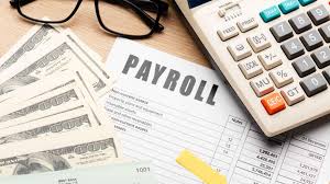 💰 Payroll Management icon
